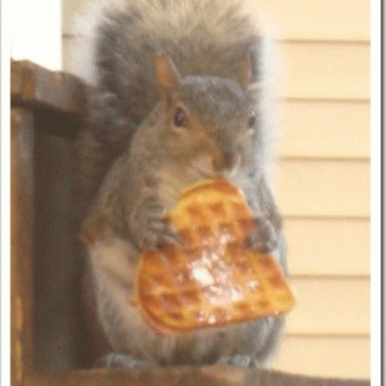 Sloth (USA-2) : Can I Just Have the Powdered Sugar Next Time?